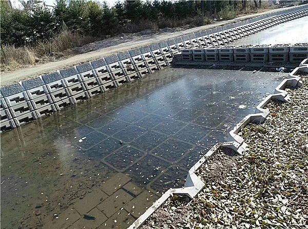 植草型生态砌块模具