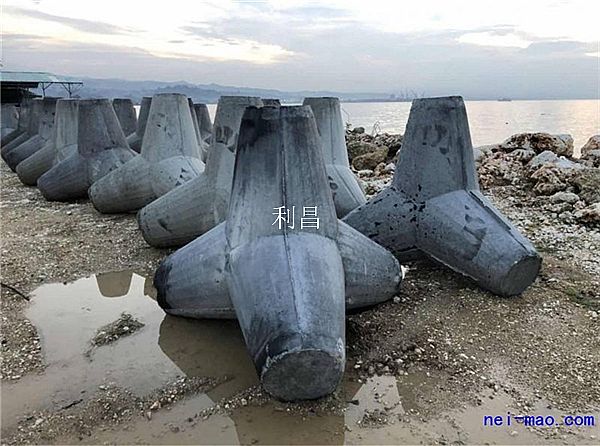 四脚椎体模具_基本介绍